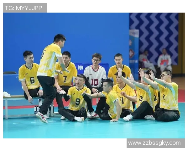 杭州排球队在全国排球团队协作排名中创新高展现团结力量与竞技精神